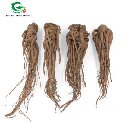 China Dried Chinese Angelica sinensis Dried Root Whole Root for sale