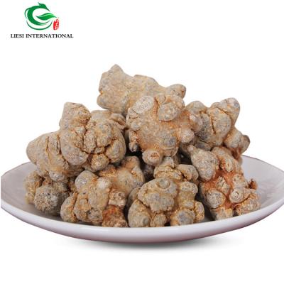 China China Herbal Notoginseng Qi Powder Raw Dry Raw Herbs San Qi for sale