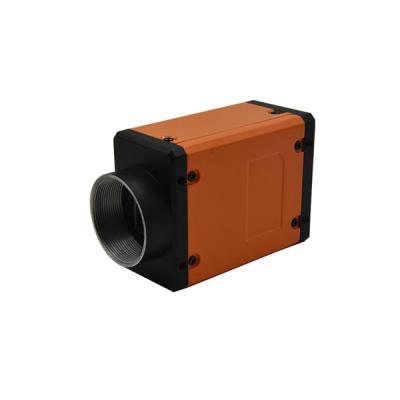 China Large Area Global Scan 32mp 4fps LION 31MS-4gm IMX342 Data Vision Camera CMOS GigE Ethernet Industrial Camera for sale