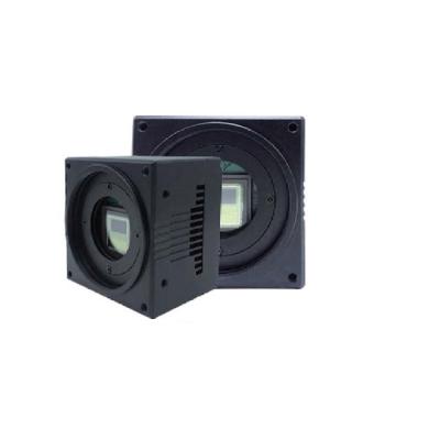 China Support Binning Vision Data Gallon 2000-1000xm x 1080pixels 1000HZ CXP6 mono 2048 output coaxpess camera for 3D AOI inspection for sale