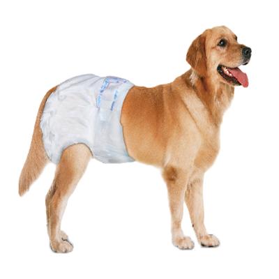 China Discount disposable pet diaper for dog for sale