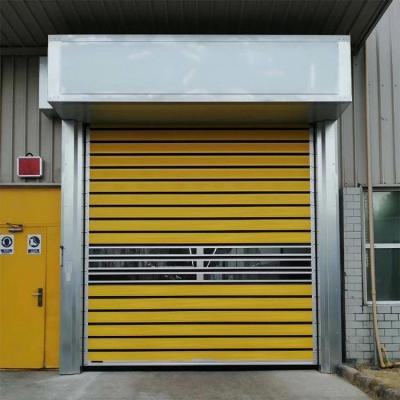 China AC 220V 1 Phrase 50HZ Automatic Roller Door Exterior Security Door for sale