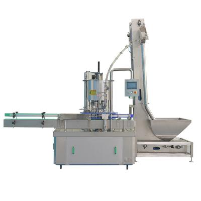 China Food Glass / Capping Machine Plastic Bottle Shaft Capping Machinery Hand Held Electric for sale