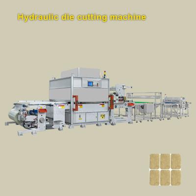 China Copper Aluminum Foil Hydraulic Foam Die Cutting Machine Rotary Die Cutter for sale