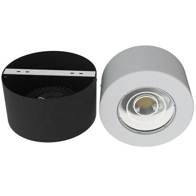 China Modern CE RoHS (from our own mould) certified European sound ceiling IP65 outdoor cob outdoor 20w led outdoor mount downlight for sale