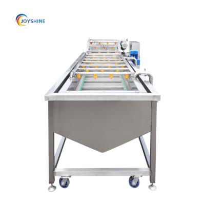 China Fruit and vegetable Joyshine coconut peeling machine coriander washing machine date palm washing cleaning line for sale