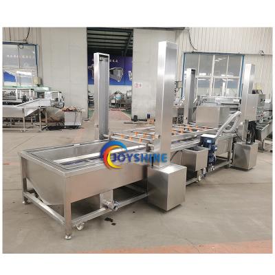 China High Efficiency Easy Operate Joyshine Vegetable Water Food Cassava Fresh Fruit Bubble Washing And Grading Drying Machine for sale