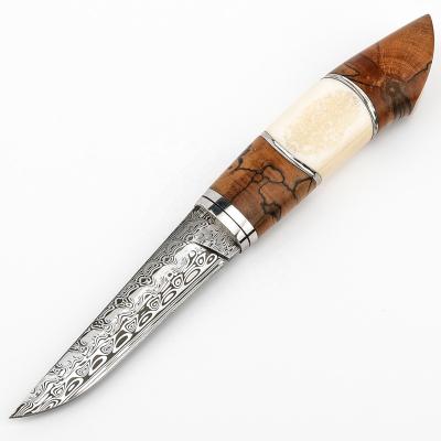 China Burl Handle Gigantic Fossil Knife Hunting Camping Survival EDC Damasteel Damascus Stainless Steel Drop Slide Open Point Fixed Outdoor Blade for sale