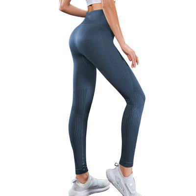 China Fitness Antibacterial High Elastic Women Tight Training Pants Skinny Legs Women Yoga Gaiters Sportswear for sale