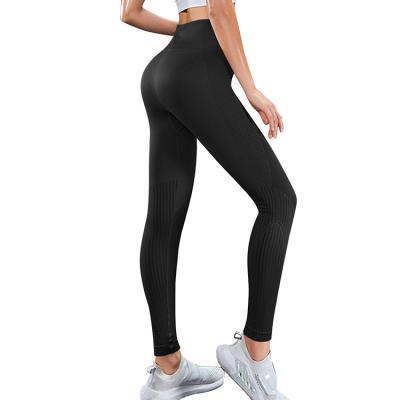 China High Waist Antibacterial Women Fitness Tight Training Pants Skinny Legs Women Yoga Gaiters Sportswear for sale