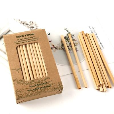 China 10pc One 20cm Stainless Steel Brush Eco-friendly Drinking Straw Packed 100% Biodegradable High Quality Reusable Reed In Color Box for sale