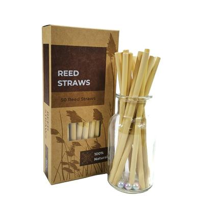 China 20cm eco-friendly 50pc in color box brush china eco-friendly wholesale high quality cheap prices reusable bamboo drinking straws thatch straws for sale