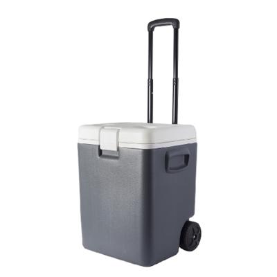 China Plastic Portable Freezer and Fridge 12 Volt Car Refrigerators OEM Fridge 30L Car Fridge with Wheel and Handle for sale