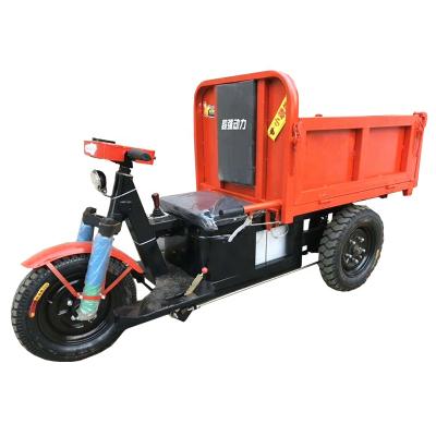 China 2020 Electric Cargo Tricycle Gasoline Cargo Adults Price for sale