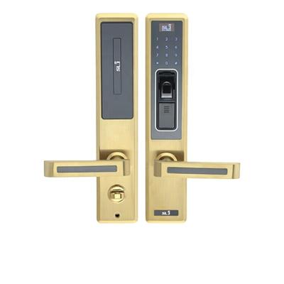 China SS304 China Suppliers Card Reader Electric Digital Smart Door Lock for sale