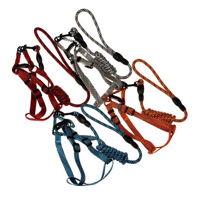 China High Quality Padded Adjustable Dog Rope Collar Strong Dog Walking Leashes for sale