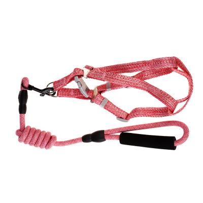 China High Quality Elasticity X Shape Padded Shockproof Adjustable Dog Walking Leash for sale