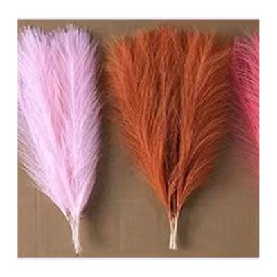 China Natural Dry Pampas Grass Preserved Flower Reed Gray Artificial Straw Dry Pampas Grass Pale Pink Romantic Wholesale Large for sale