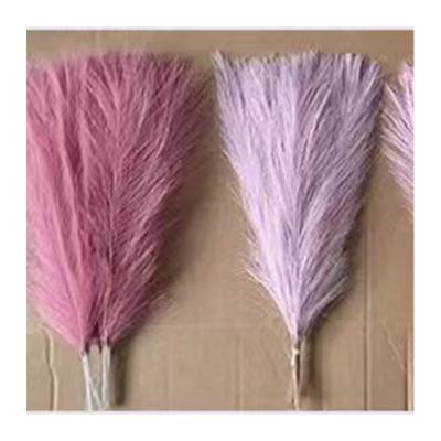 China Small Romantic Light Pink Pampas Grass Plants Decor Wedding Hanging Fluffy Pampas Grass Extra Large Home Decor 4 Feet for sale