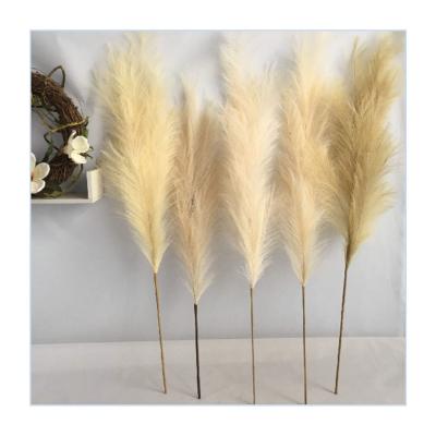 China Romantic Fake Pampas Grass150Cm Artificial Natural Dry Grass Pampas Grass Dry Flower for sale