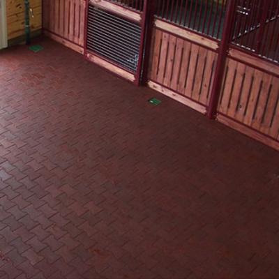 China Rubber paver pavers horse barns / environmentally friendly anti-skid rubber dog bones / rubber paving blocks for sale