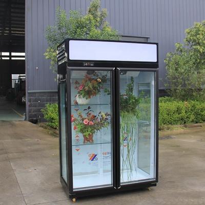 China Single-temperature door-to-door glass door direct cooling used fresh flower cooler flower refrigerator for sale