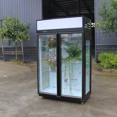 China Single-temperature Morden style shop refrigeration equipment showcase display fridge refrigerator flower chilled refrigerator for sale