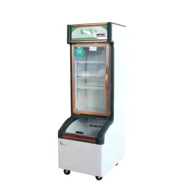 中国 Famous OEM ODM Double-temperature Compressor Multifunctional Glass Door Fruit and Vegetable Refrigerator 販売のため