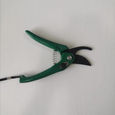 China Universal Garden Cut Durable Tree Branch Trimming Pruner Garden Scissors Graft Scissors Shears for sale