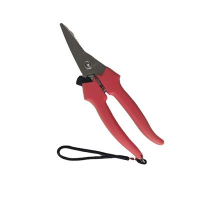 China Universal Pruner Cutting and Garden Stainless Steel Shears Scissors for Gardening Events and Flower Art Activities for sale