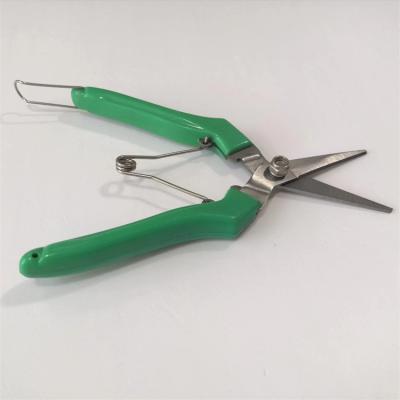 China High Quality Hardware Garden Tools Stainless Steel Grape Scissors Universal Cutting Shears for sale