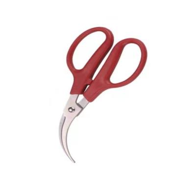 China Universal Cutting Amazon Product Kitchen Scissors Knife Kitchen Scissors With Useful Case for sale