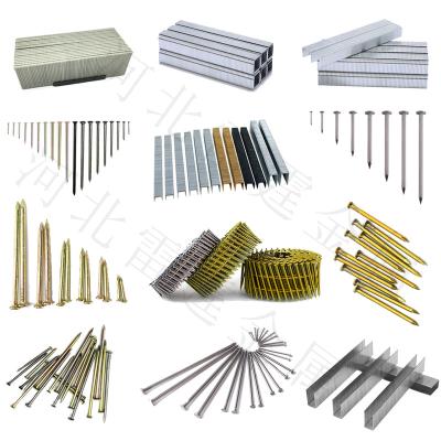 China Cap Factory Direct Sale Pallet Nail Gun Nail Coil Galvanized Concrete Steel Nails à venda