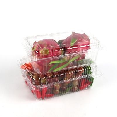 China Disposable Plastic Packaging Food Container Fresh Fruit And Vegetable Clamshell Pet Packing Box for sale