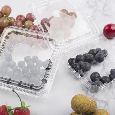 China Customized Eco-friendly Disposable Retangular Fruit Boxes Blueberry Clamshell Plastic Folding Box for sale