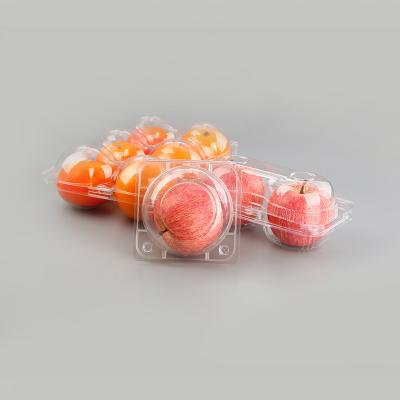 China Customized wholesale large capacity disposable fruit and vegetable clamshell PET transparent box for sale