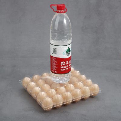 China Newly Designed Plastic Customized Reusable Eco-Friendly Pet Multi-size Egg Tray Environmentally Friendly for sale