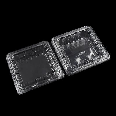 China Disposable Small Packaging Custom Fruit Container Strawberry Blueberry Clear Plastic Disposable Box for sale