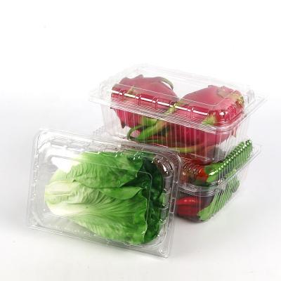 China Disposable Clear Plastic Okra Packing Stuffing Storage Box With Dividers for sale