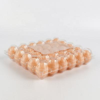 China Eco - Friendly Plastic Egg Tray With Dividers Rack Cover for sale