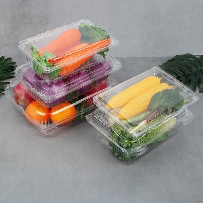 China Wholesale Disposable Pet Fruit and Vegetable Packaging Thickened Breathable Transparent Box for sale