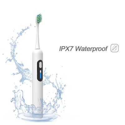 China PP 2021 Multifunctional Eco-Friendly Luxury Rechargeable Teeth Brush Display Travel Electric Toothbrush for sale