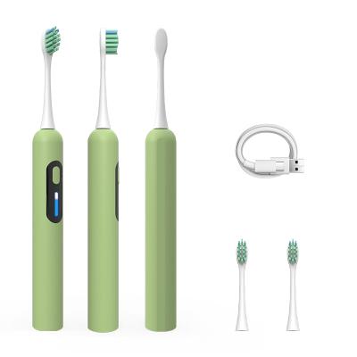 China Cheap New PP Radio Start Electric Toothbrushes 360 Brush Heads Electric Toothbrush With Toothpaste for sale