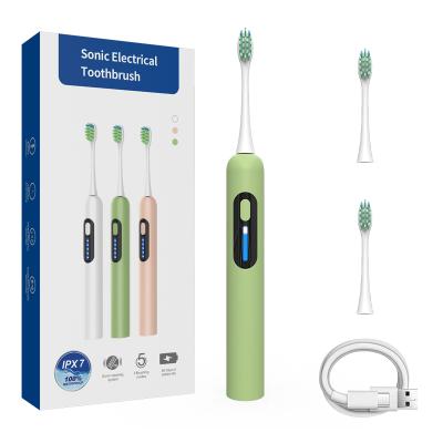 China Factory Battery Operated USB Rechargeable Oral Care Powered Automatic Vibrate Electric Toothbrush for sale