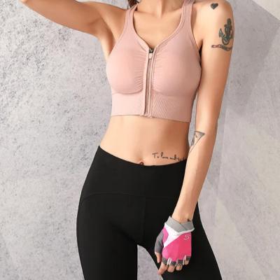 China Anti-Bacterial ribbed zipper v neck seamless sports bras on sale activewear sports bra wholesale gym sport bra for sale