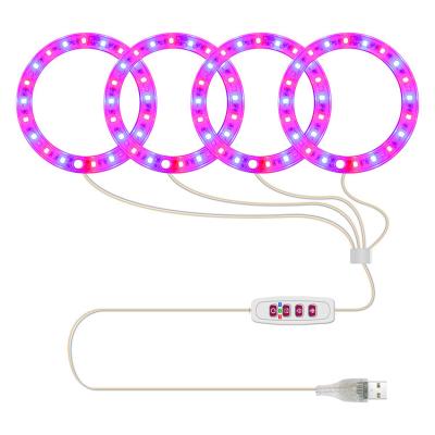 China Other Best Quality Pony Ringlike Multiple Halo Power Saving Environmental USB Interface Diverse Colors Grow Light for sale