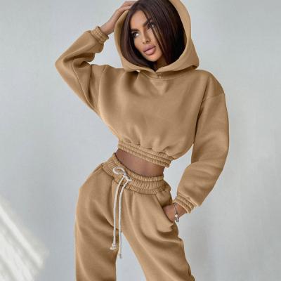 China Breathable Trotter Sweatsuits Women's Tracksuit Two Piece Sets Terry Casual Plain Crop Pullover Ladies Sweatshirt French Hoodie Sweatpants for sale