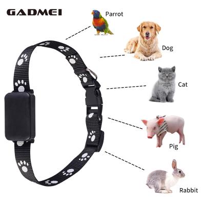 China GPS+WIFI+LSB Three Mode Anti-lost Wireless Chip Pet Dog Gps Tracking Collar Cat Gps Tracker Location Pet Tracker Gps for sale