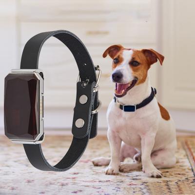 China GPS+WIFI+LSB Fashion Magnetic Pet Tracker Collar Anklet Cow Dog Pet Gps Tracker Three Wristband Cow Gps Magnetic Animal Tracker For Hives for sale