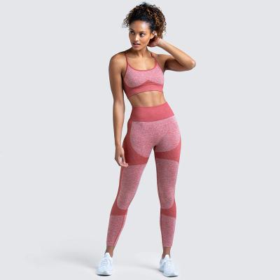 China Breathable Yoga Wear Suit 2-Piece Bra Backless Pants Set Seamless Women Yoga Tights GYM Sports Set Customize OEM Stock Uniform for sale